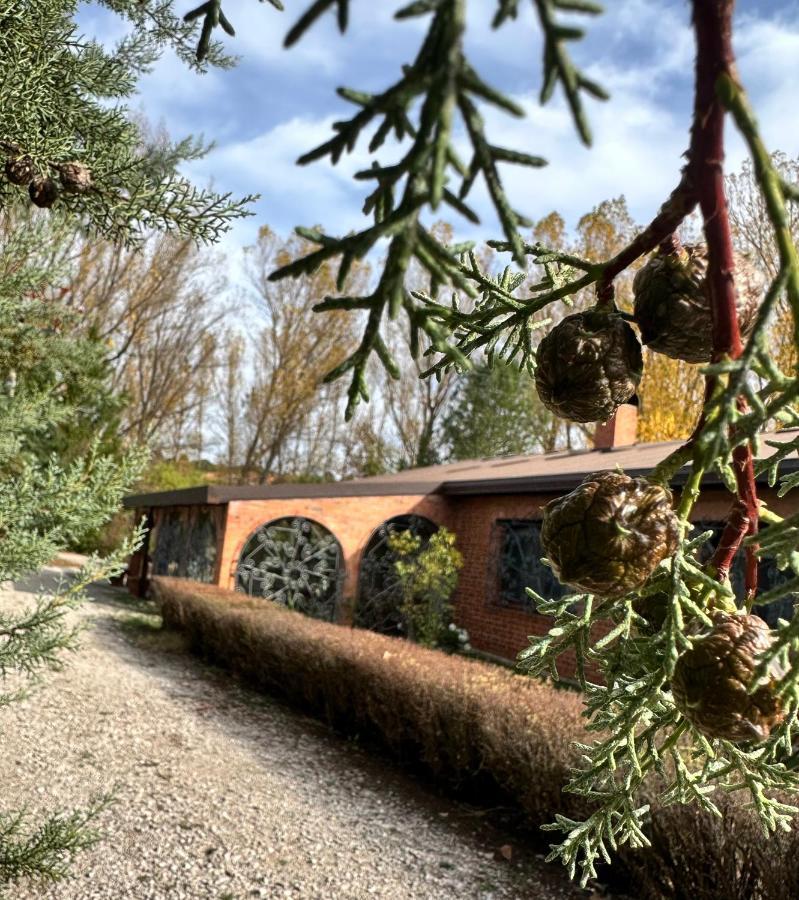 Finca Paraiso Rural El Burgo De Osma Buitenkant foto