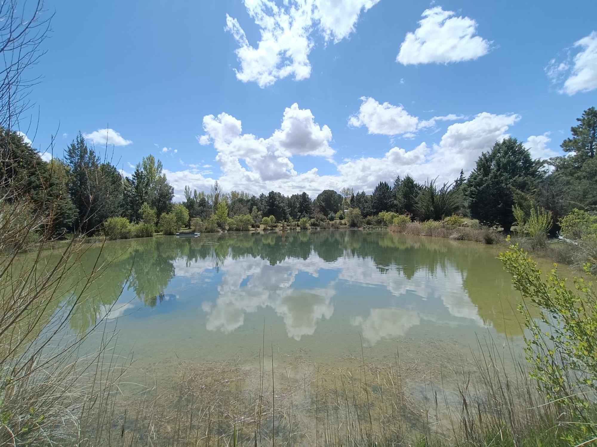 Finca Paraiso Rural El Burgo De Osma Buitenkant foto
