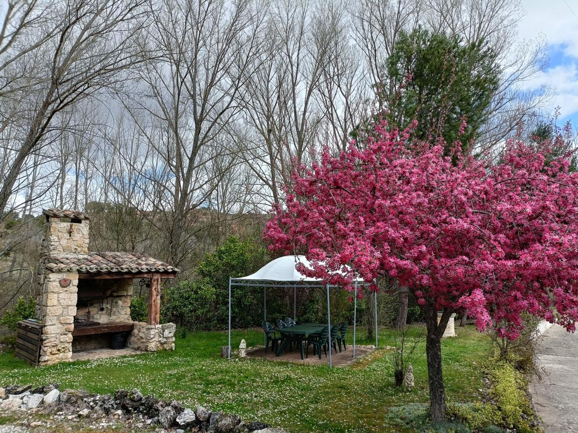 Finca Paraiso Rural El Burgo De Osma Buitenkant foto